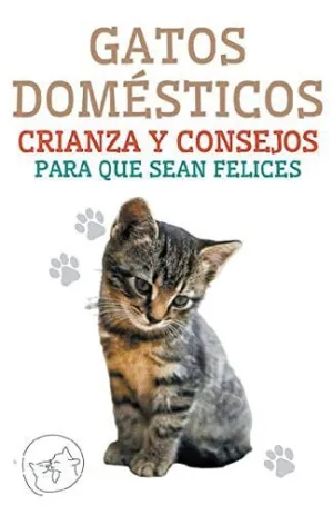 GATOS DOMÉSTICOS CRIANZA Y CONSEJOS PARA QUE SEAN FELICES.