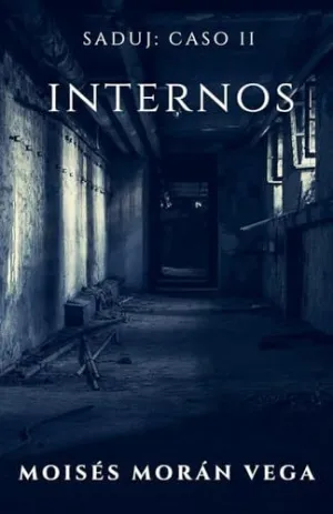 Saduj. Caso Ii. Internos