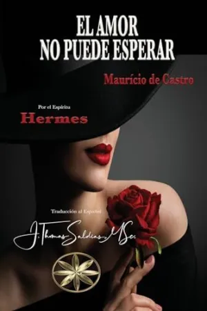 EL AMOR NO PUEDE ESPERAR EL AMOR NO PUEDE ESPERAR